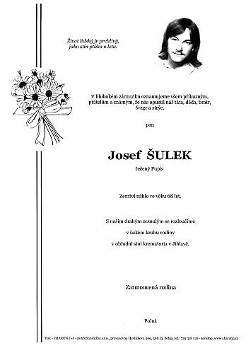Josef ŠULEK